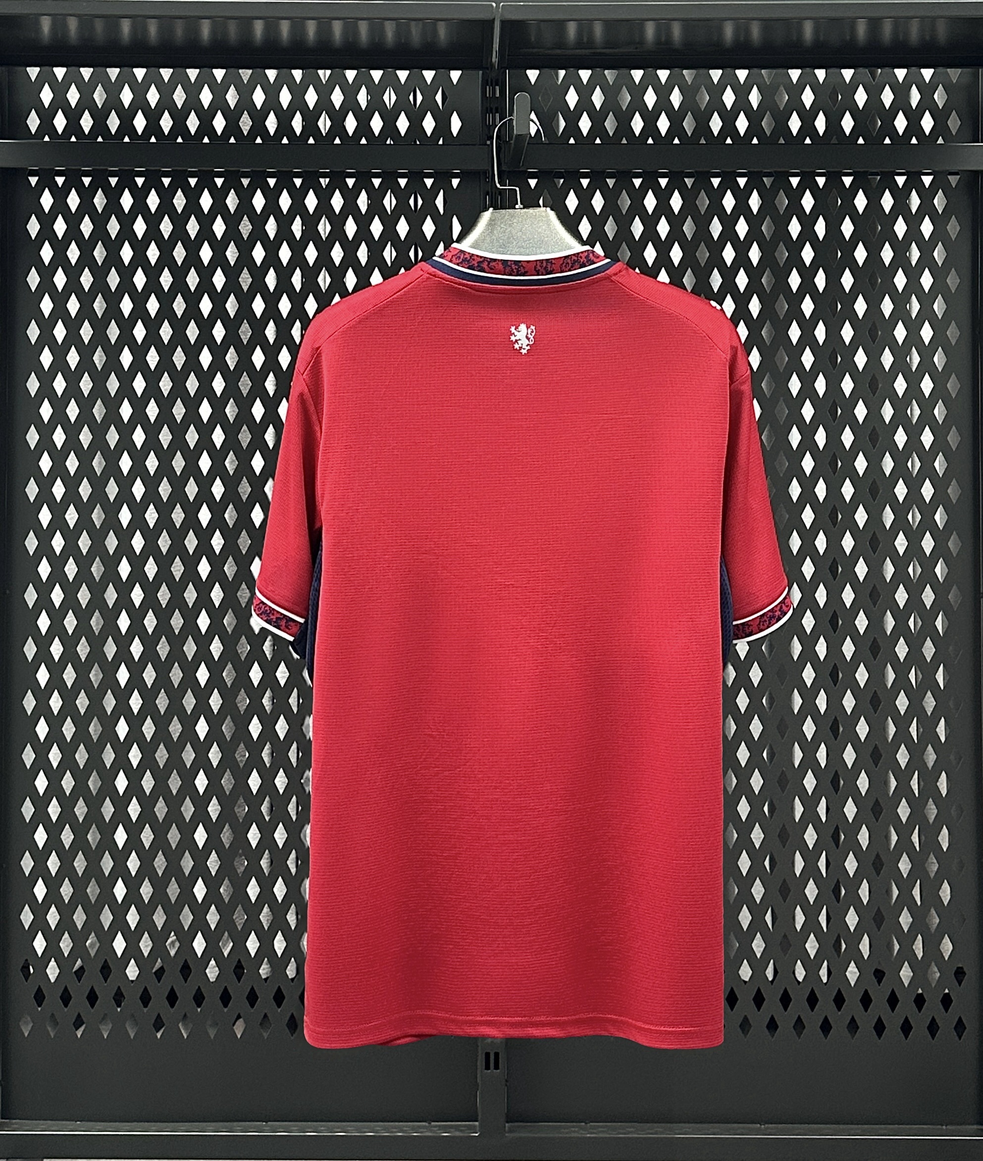 Czech Republic 26/27 Home Jersey — back