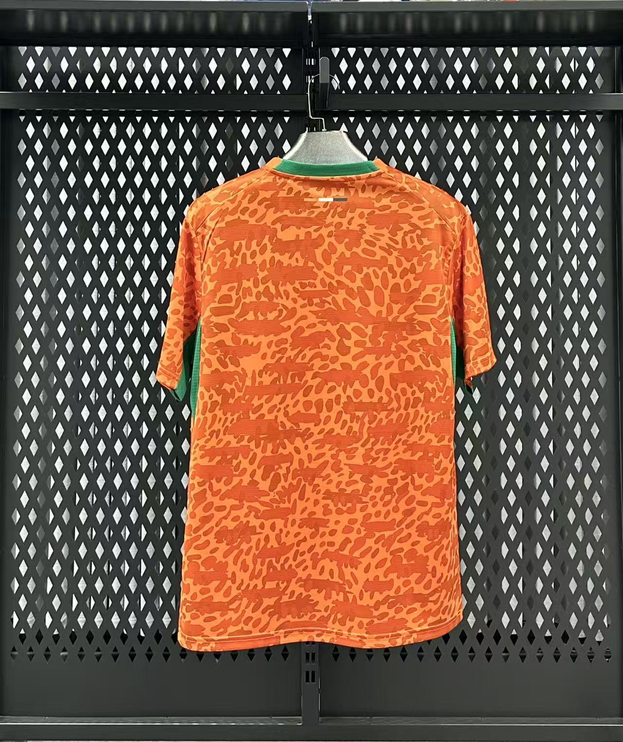 Ivory Coast 26/27 Home Jersey — back