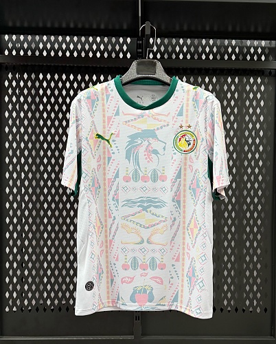 Senegal 26/27 Home Jersey — White — Two Star