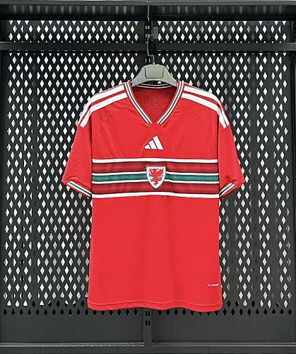 Wales 26/27 Home Jersey